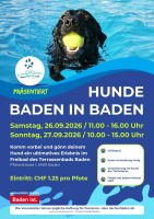 Hunde baden in Baden (﻿﻿www.work4dogs.ch / Freibad Stadt Baden)